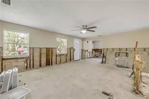 431 Palmetto St, Edgewater, FL 32132 - Photo 6