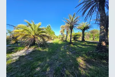 2625 Glencoe Farms Road, New Smyrna Beach, FL 32168 - Photo 8