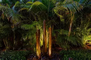 1215 Commodore Dr, New Smyrna Beach, FL 32168 - Photo 66