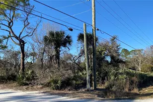 Sr-415, New Smyrna Beach, FL 32168 - Photo 1