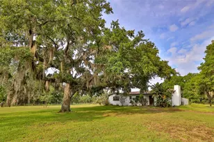 314 Carol Ann Dr, Edgewater, FL 32132 - Photo 1