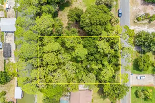 133 Hazelwood River Rd, Edgewater, FL 32141 - Photo 1