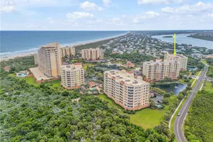 265 Minorca Beach Way, New Smyrna Beach, FL 32169 - Photo 60