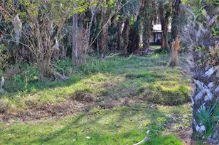 725 Green Rd, New Smyrna Beach, FL 32168 - Photo 40