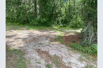 00, Deland, FL 32724 - Photo 6