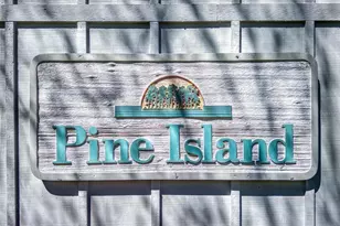 804 Pine Shores Cir, New Smyrna Beach, FL 32168 - Photo 34