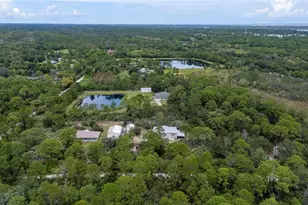 4245 Clinton Cemetery Rd, Edgewater, FL 32141 - Photo 48