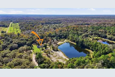 270 Wright Grove Road, Oak Hill, FL 32759 - Photo 10