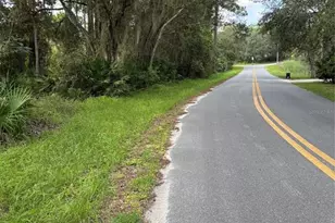 246 Browns Hammock Rd, Crescent City, FL 32112 - Photo 1