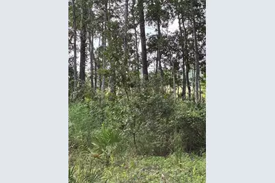 246 Browns Hammock Road, Crescent City, FL 32112 - Photo 4