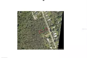 1310 Elizabeth St, New Smyrna Beach, FL 32168 - Photo 1