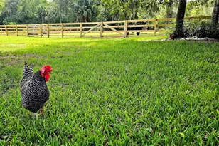 2310 Doster Dr, New Smyrna Beach, FL 32168 - Photo 30