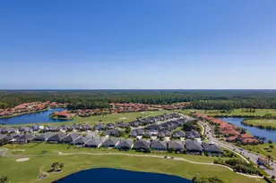 3106 Borassus Dr, New Smyrna Beach, FL 32168 - Photo 40