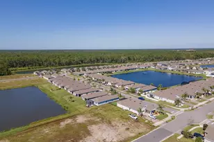 3106 Borassus Dr, New Smyrna Beach, FL 32168 - Photo 38