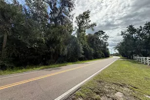 S Glencoe Rd, New Smyrna Beach, FL 32168 - Photo 1