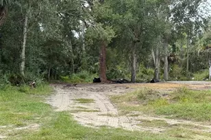 2794 S Ridgewood Ave S, Edgewater, FL 32141 - Photo 1