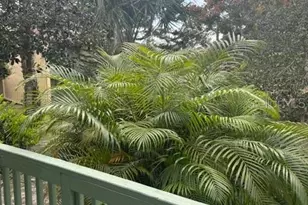 149 Club House Blvd, New Smyrna Beach, FL 32168 - Photo 20