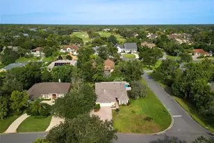 200 Live Oak Ln, New Smyrna Beach, FL 32168 - Photo 52