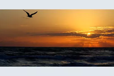 2815 Bay Side Drive, New Smyrna Beach, FL 32168 - Photo 82