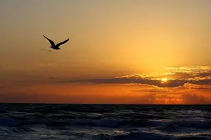 2815 Bay Side Dr, New Smyrna Beach, FL 32168 - Photo 82