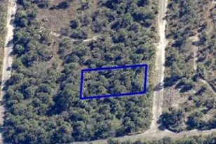 1093 Echinata St SW, Palm Bay, FL 32908 - Photo 1