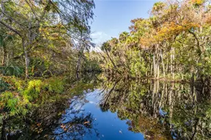 1985 Rutgers Pl, Port Orange, FL 32128 - Photo 56