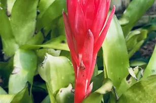 4618 Katy Dr, New Smyrna Beach, FL 32169 - Photo 36