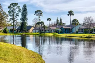 804 Soft Pine Ct, New Smyrna Beach, FL 32168 - Photo 70