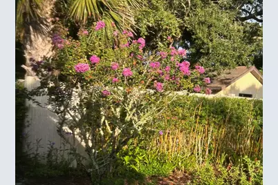 810 E 9th Avenue, New Smyrna Beach, FL 32169 - Photo 52