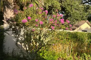 810 E 9th Ave, New Smyrna Beach, FL 32169 - Photo 52