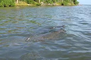 132 Center St, Oak Hill, FL 32759 - Photo 14