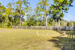 420 Roberts Rd, Pierson, FL 32180 - Photo 32