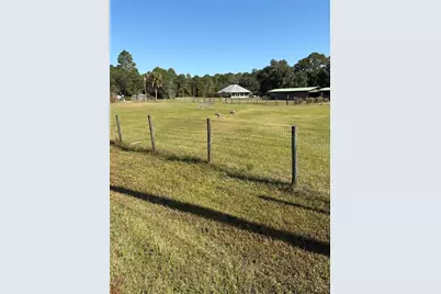 1045 Buckles Road, Pierson, FL 32180 - Photo 4