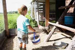 1045 Buckles Rd, Pierson, FL 32180 - Photo 22