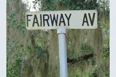 Fairway Avenue, Eustis, FL 32726 - Photo 2