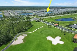 3048 Borassus Dr, New Smyrna Beach, FL 32168 - Photo 6