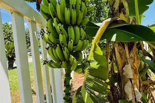 357 S Seneca Blvd, Daytona Beach, FL 32114 - Photo 44