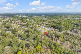 1017 36th St, Edgewater, FL 32141 - Photo 28