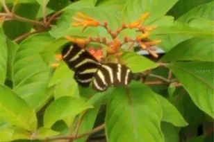 1798 Hideaway Ln, Edgewater, FL 32132 - Photo 82