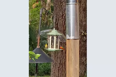 1798 Hideaway Lane, Edgewater, FL 32132 - Photo 86