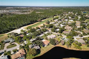 1083 Button Bush Pl, New Smyrna Beach, FL 32168 - Photo 64