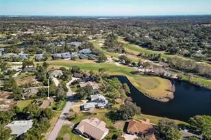 1083 Button Bush Pl, New Smyrna Beach, FL 32168 - Photo 62