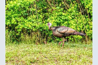 2327 & 2329 Legacy Lane, New Smyrna Beach, FL 32168 - Photo 36