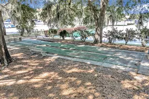 5203 Grove Mnr, Lady Lake, FL 32159 - Photo 72