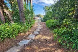 3627 Canal Rd, Edgewater, FL 32141 - Photo 6