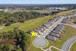 3600 Burrowing Owl Dr, Mims, FL 32754 - Photo 4