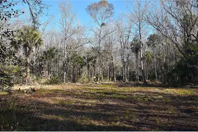 4721 Lingo Grove Road, Edgewater, FL 32141 - Photo 4