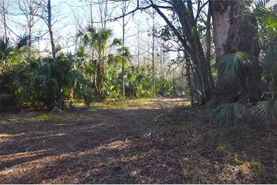 4721 Lingo Grove Road, Edgewater, FL 32141 - Photo 1