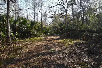 4721 Lingo Grove Road, Edgewater, FL 32141 - Photo 2