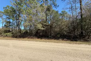 1573 Laurel Ave, Bunnell, FL 32110 - Photo 1